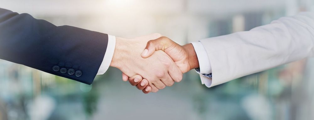 感情派ヴィーガンと穏健派ヴィーガンの握手
