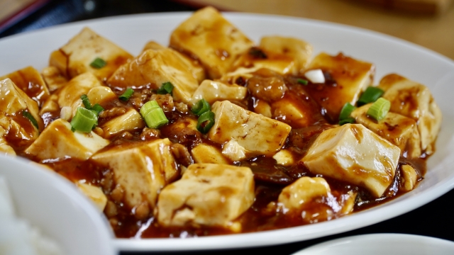 魔防豆腐:お豆腐の煮込み